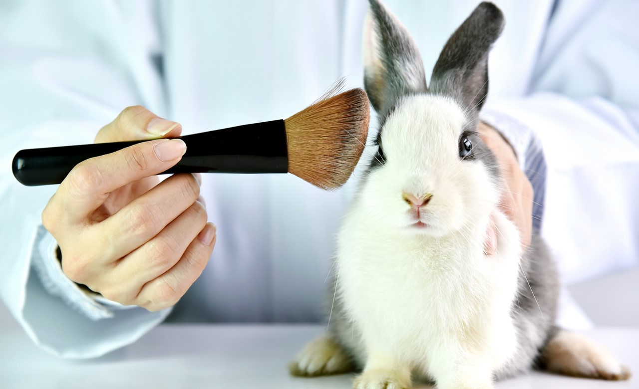 Perfecthair Image
