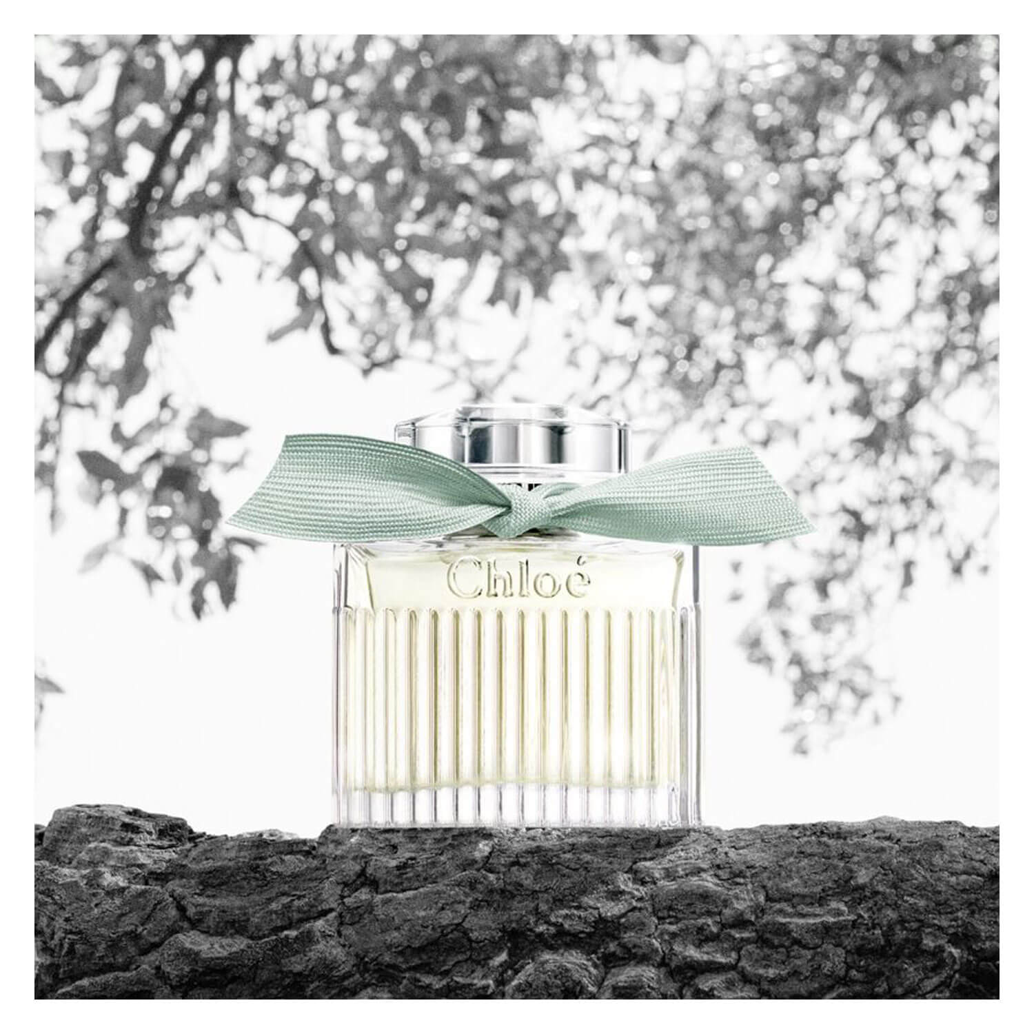 Chloé Rose Bio Eau de Parfum Naturelle PerfectHair.ch