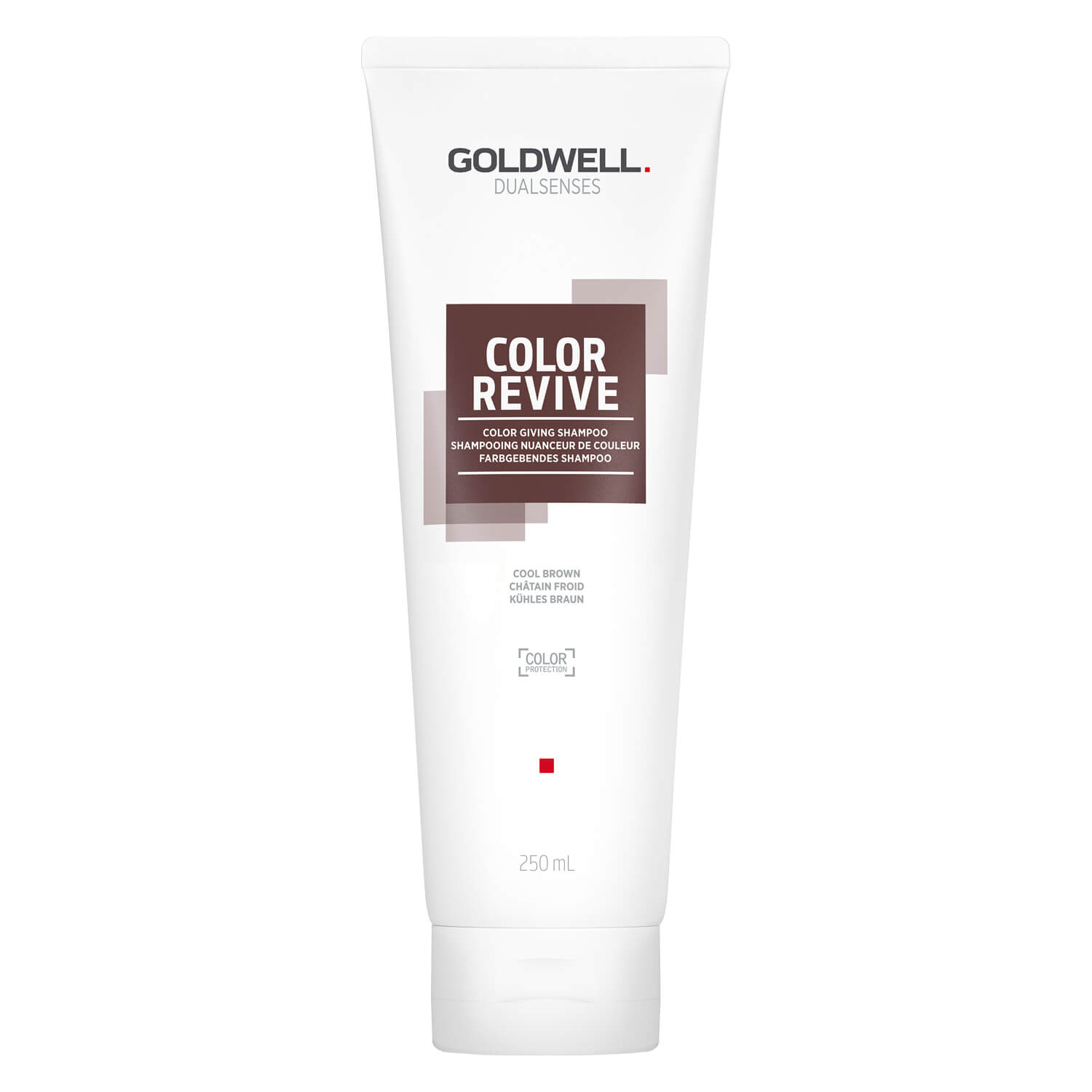 Goldwell Dualsenses Color Revive Color Shampoo Cool Brown 250ml