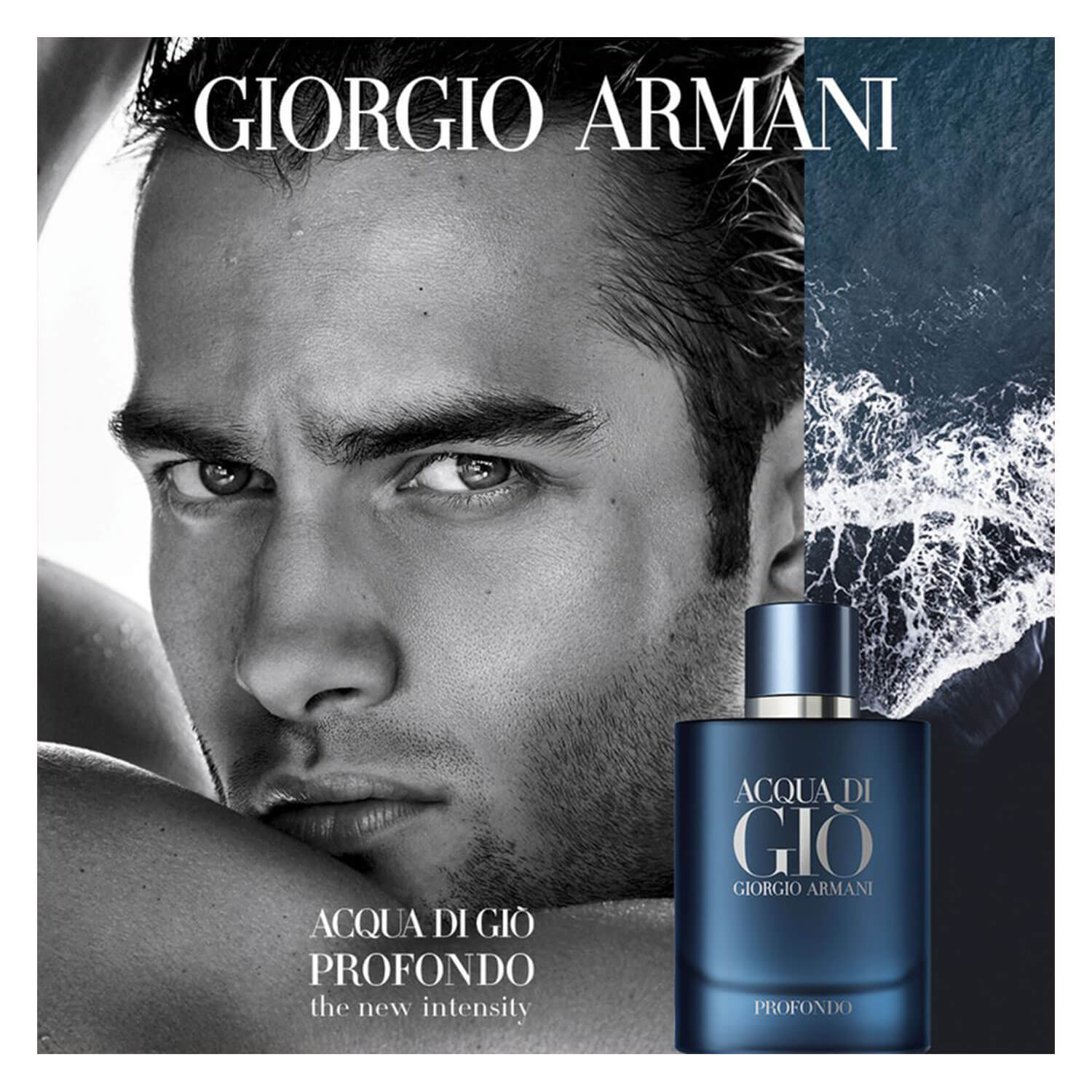 [正規品] ACQUA DI GIO PROFONDO 100ml Acqua Di Gio Profondo Parfum 100ML