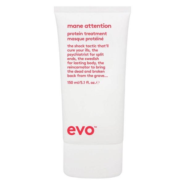 Image of evo care - mane attention protein treatment