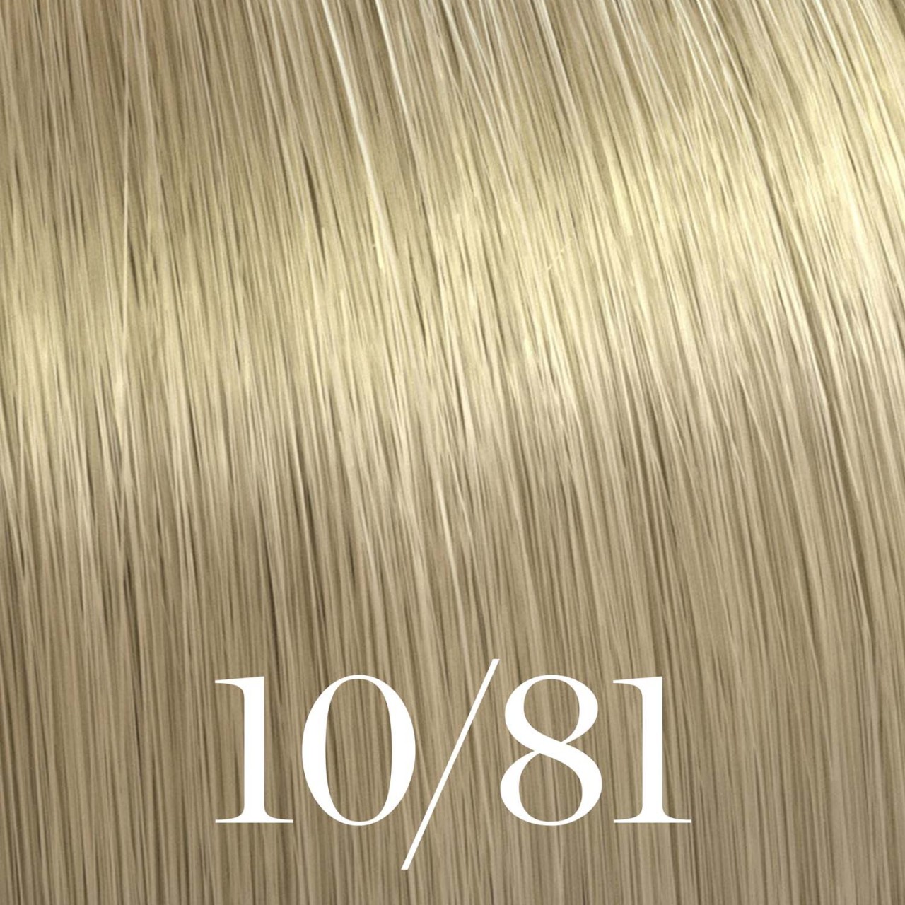 Color Touch Rich Naturals - 10/81