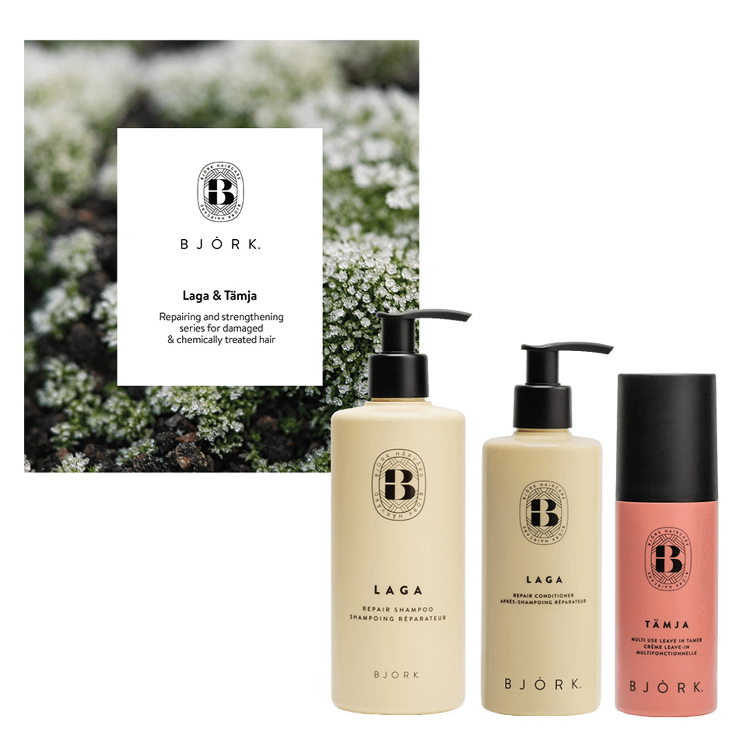 Björk – Laga Repair Kit