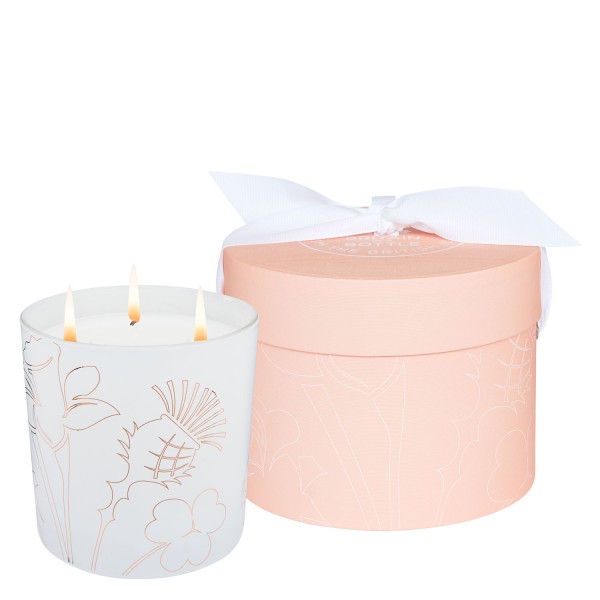 Image of Noble Isle - The Crème de Rhubarb 3 Wick Candle