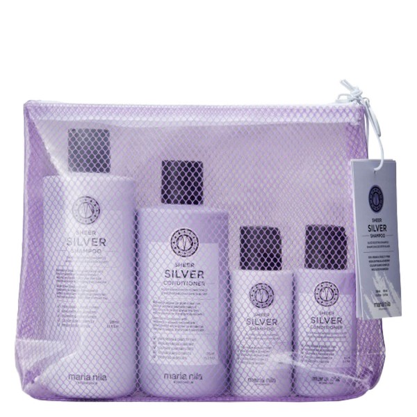 Image of Care & Style - Sheer Silver Beauty Bag