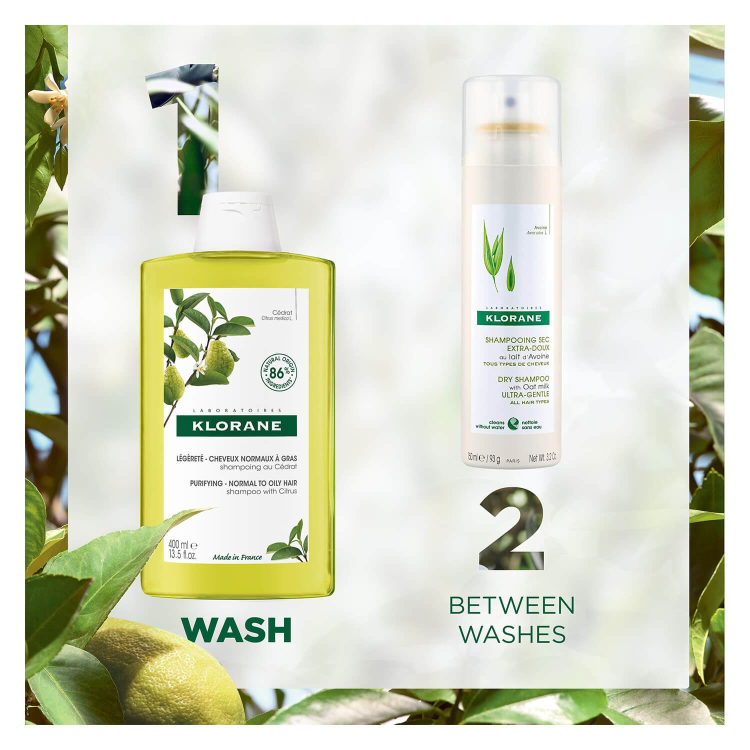 KLORANE Zedrat Shampoo PerfectHair.ch