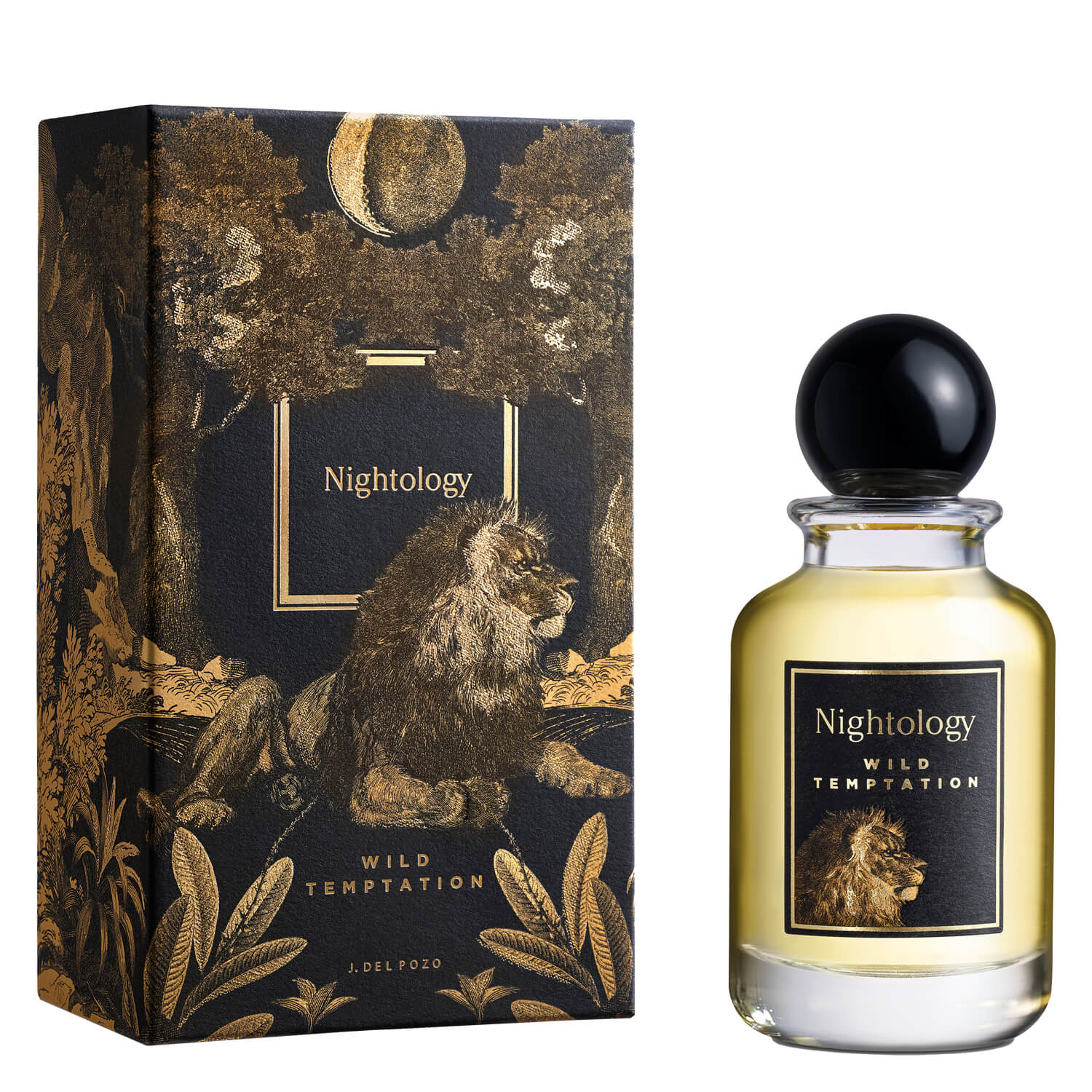 Nightology – Wild Temptation Eau De Parfum 100ml
