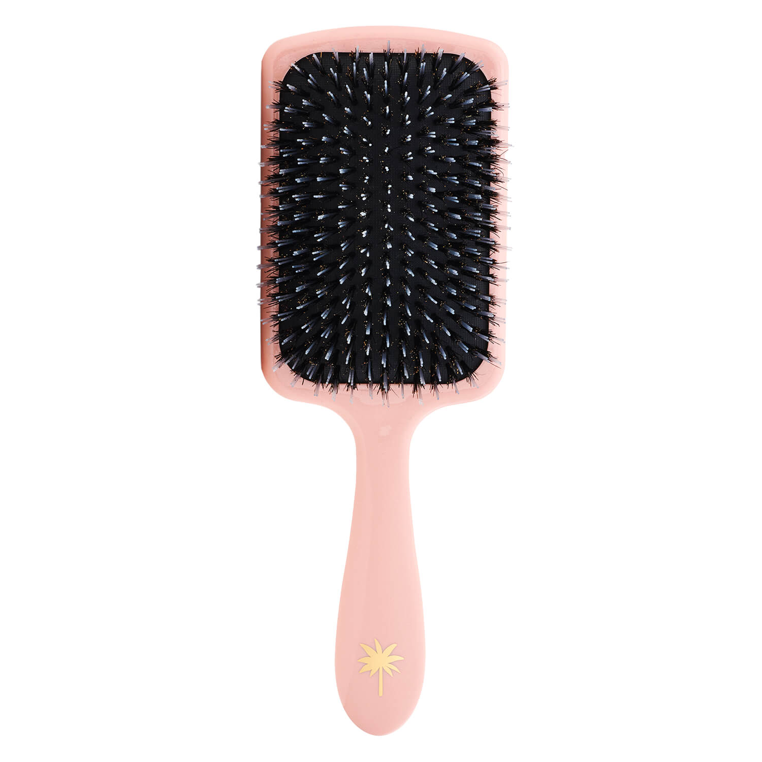 Fan Palm – Paddle Brush Large Double Bloom