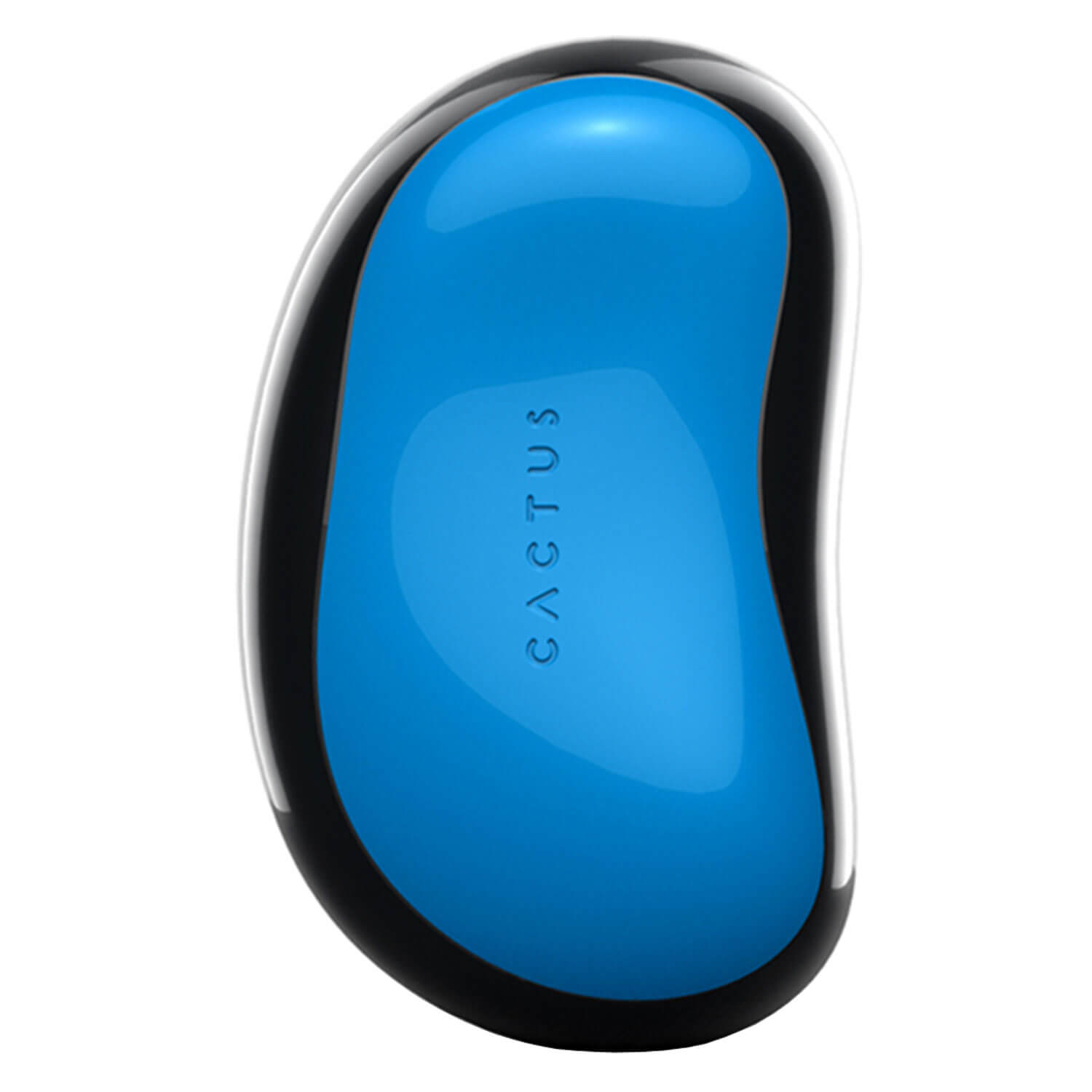 Cactus Barbora – Nordic Glow