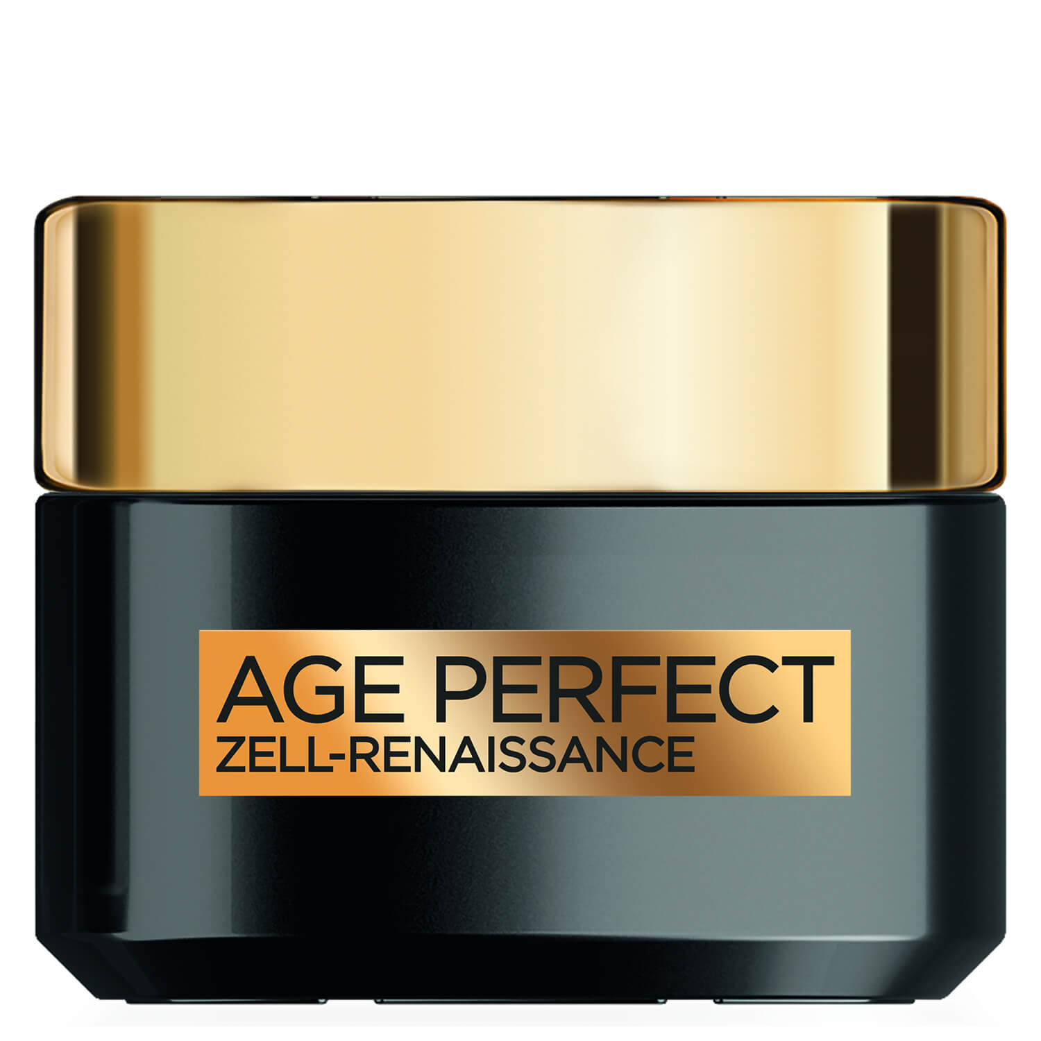 Loréal Paris Loréal Skin Expert Age Perfect Cell Renaissance Day Care Perfecthairch 6659