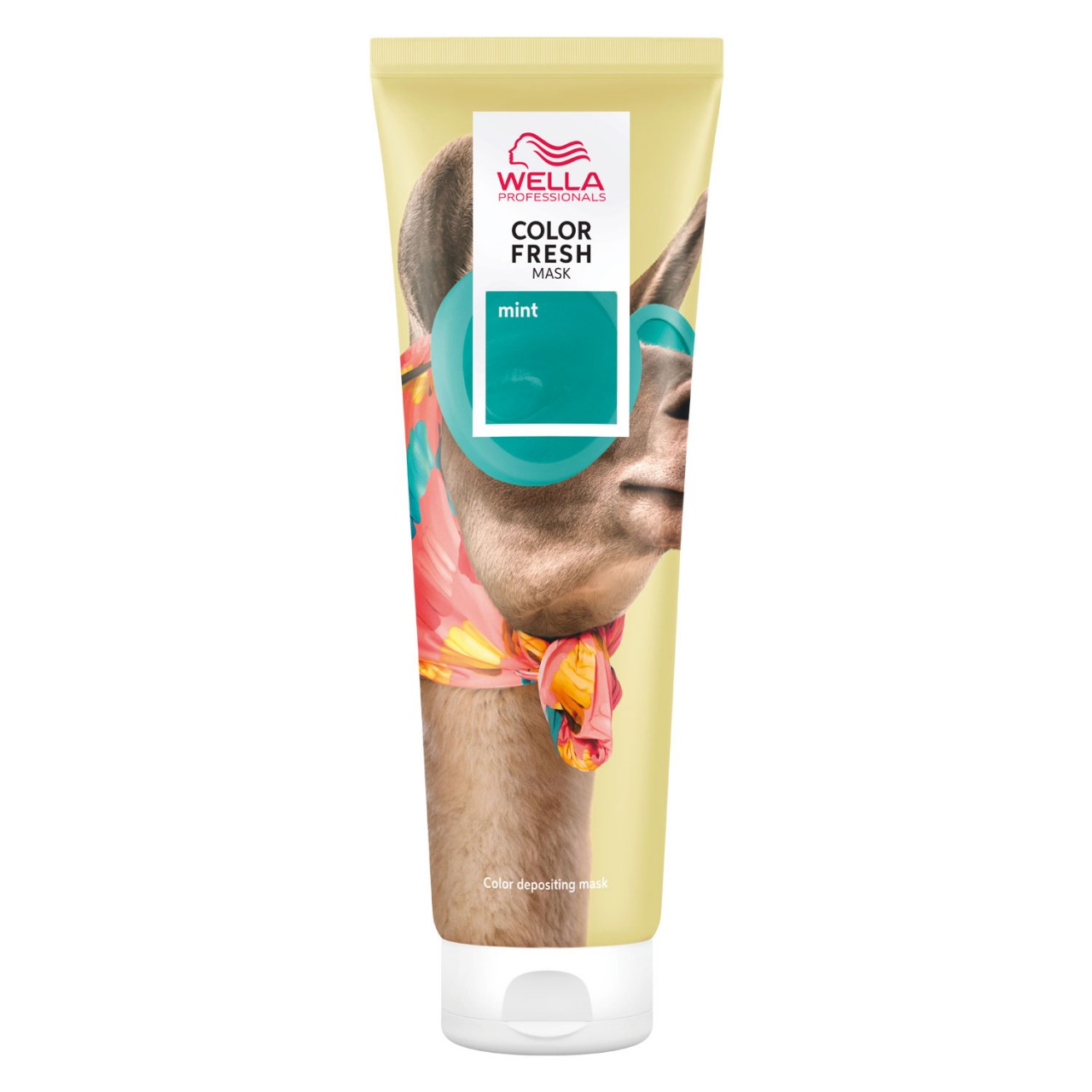 Color Fresh Mask - Mint