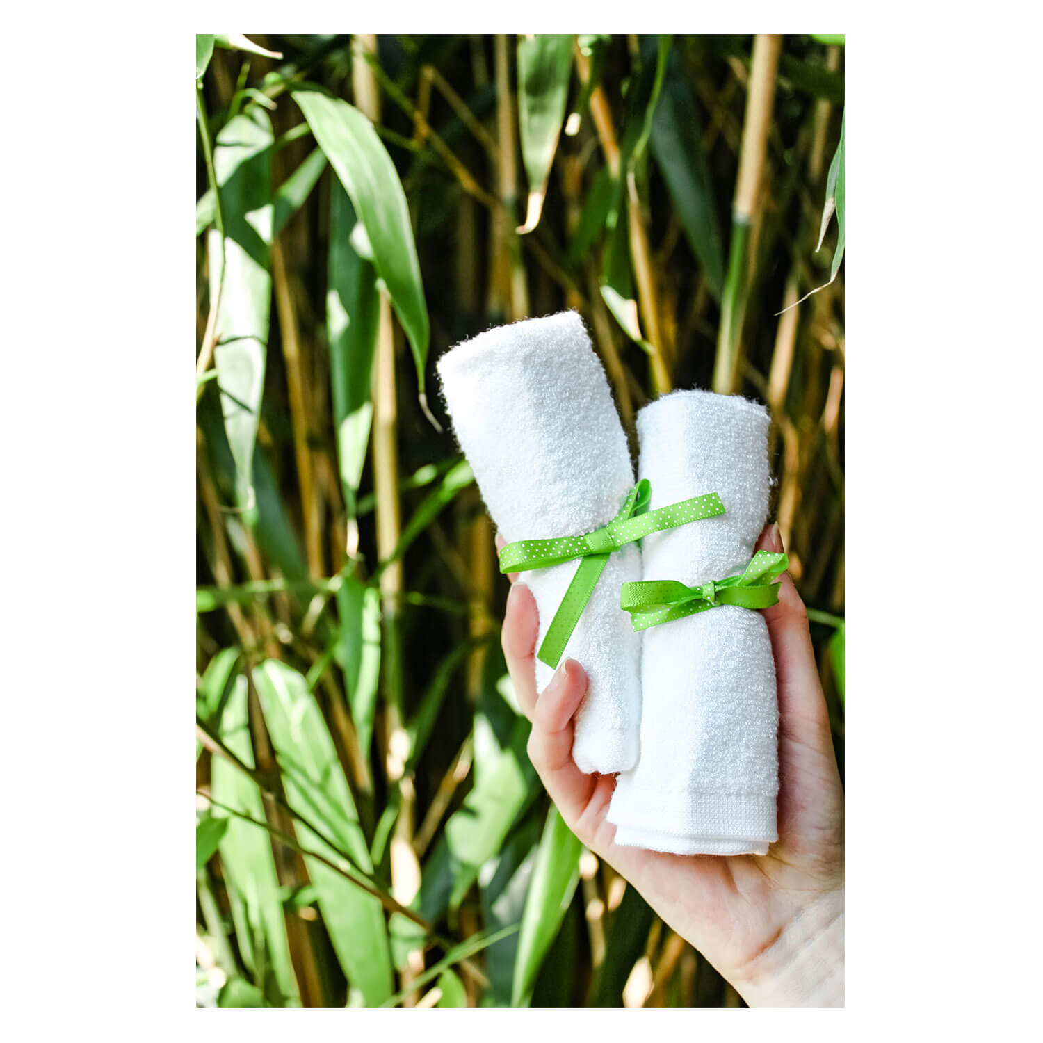 cactus boutique Gift Card  Velvet Cactus Boutique