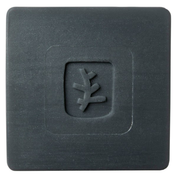 Image of Charcoal - Black Soap